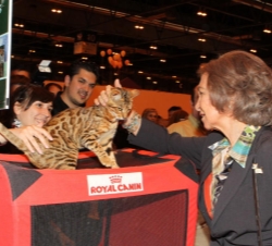 Su Majestad la Reina visita la zona felina durante su recorrido por la Exposición Internacinal Canina de Primavera